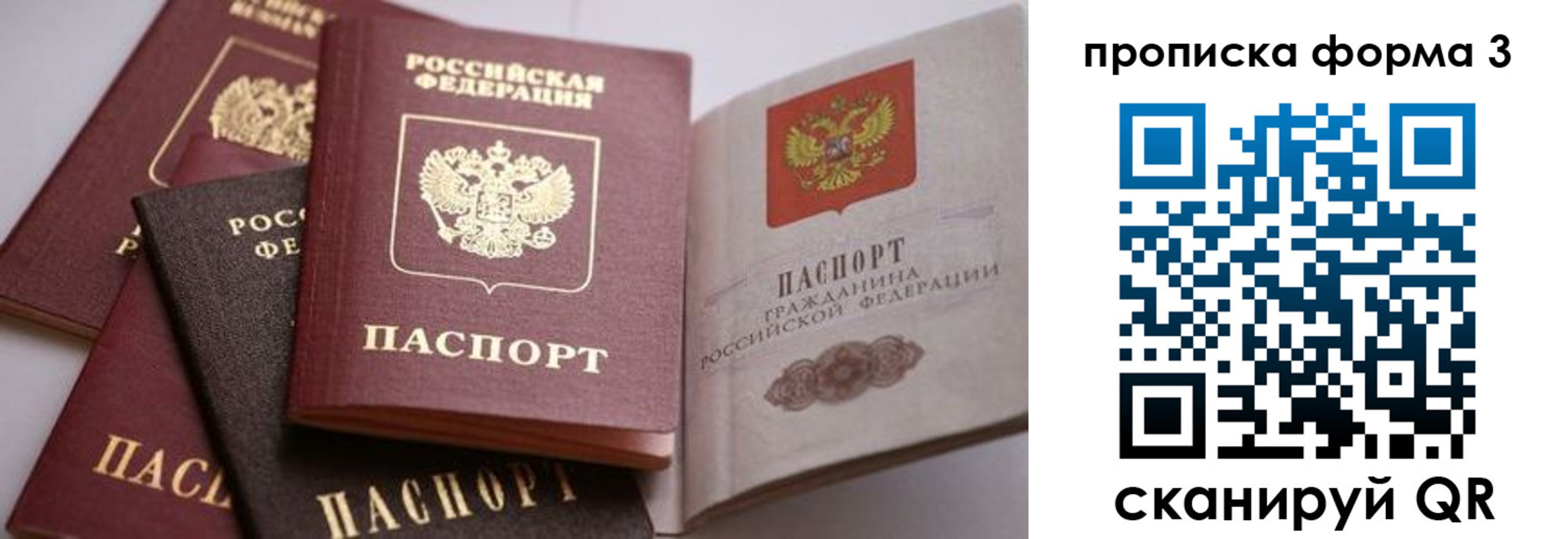 прописка для школы в Коряжме